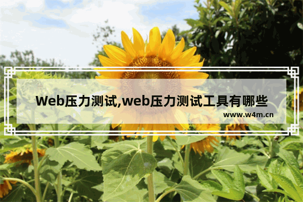 Web压力测试,web压力测试工具有哪些