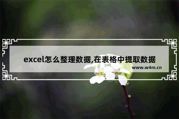 excel怎么整理数据,在表格中提取数据