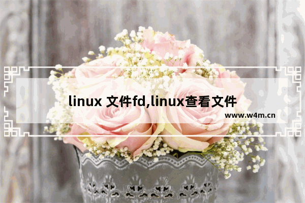 linux 文件fd,linux查看文件描述符使用情况