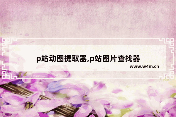 p站动图提取器,p站图片查找器