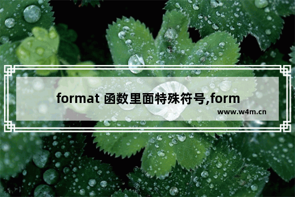 format 函数里面特殊符号,format什么函数