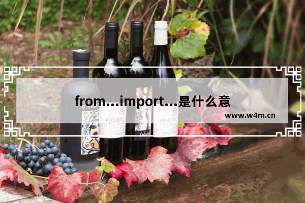 from...import...是什么意思,imports of