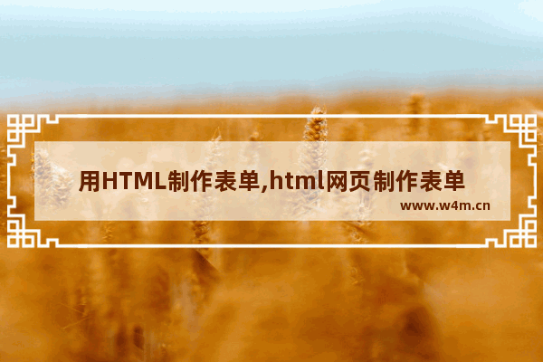 用HTML制作表单,html网页制作表单