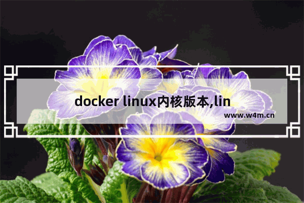 docker linux内核版本,linux中docker安装