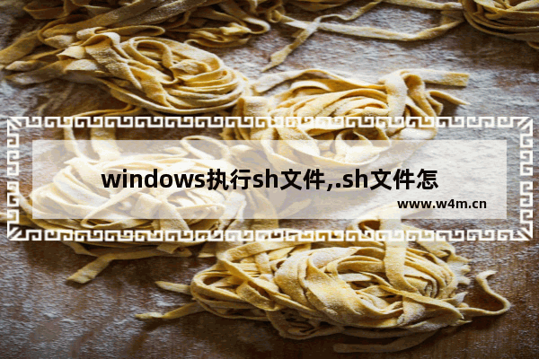 windows执行sh文件,.sh文件怎么运行 win10