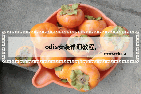 odis安装详细教程,