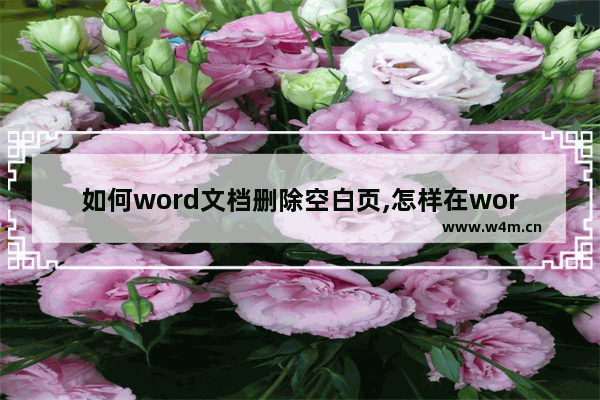 如何word文档删除空白页,怎样在word文档删除空白页