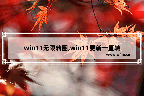 win11无限转圈,win11更新一直转圈