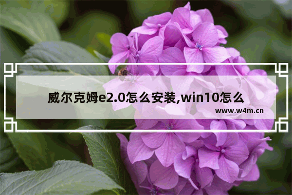 威尔克姆e2.0怎么安装,win10怎么装威尔克姆