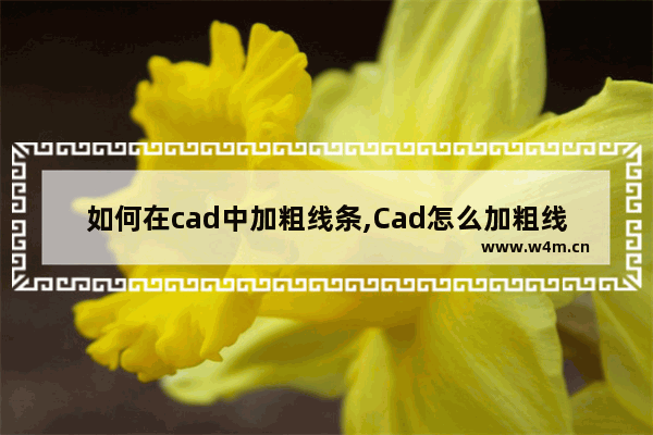 如何在cad中加粗线条,Cad怎么加粗线条