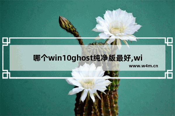 哪个win10ghost纯净版最好,win10ghost系统好吗