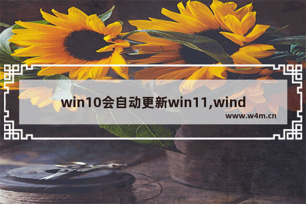 win10会自动更新win11,windows11何时可以更新