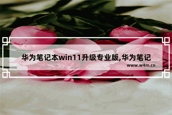 华为笔记本win11升级专业版,华为笔记本如何升级win11