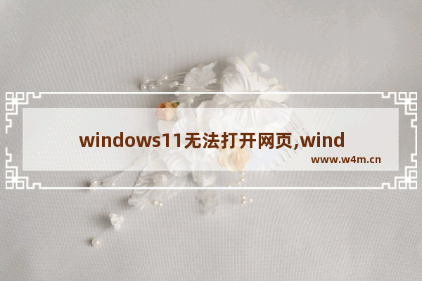 windows11无法打开网页,windows11浏览器无法上网