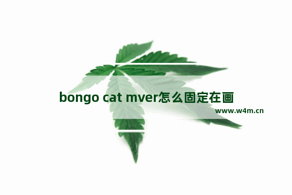 bongo cat mver怎么固定在画面上,bongo cat mver使用教程