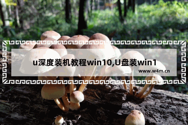 u深度装机教程win10,U盘装win10教程