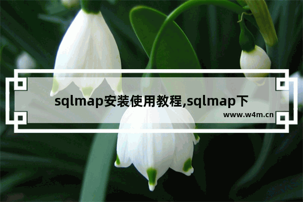 sqlmap安装使用教程,sqlmap下载安装教程