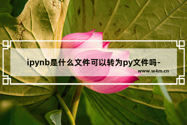 ipynb是什么文件可以转为py文件吗-,py文件和ipynb文件