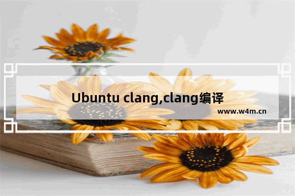 Ubuntu clang,clang编译器使用