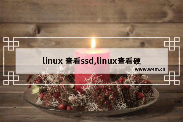 linux 查看ssd,linux查看硬盘是不是固态