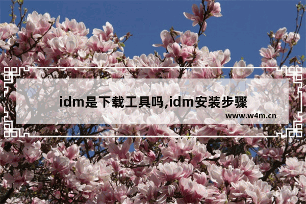 idm是下载工具吗,idm安装步骤