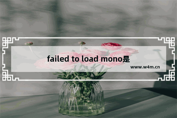 failed to load mono是什么意思,failed to load mono怎么解决