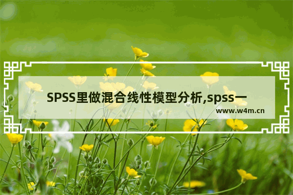 SPSS里做混合线性模型分析,spss一般线性模型多变量结果分析