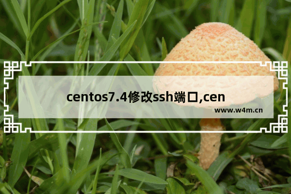 centos7.4修改ssh端口,centos7.3修改ssh端口