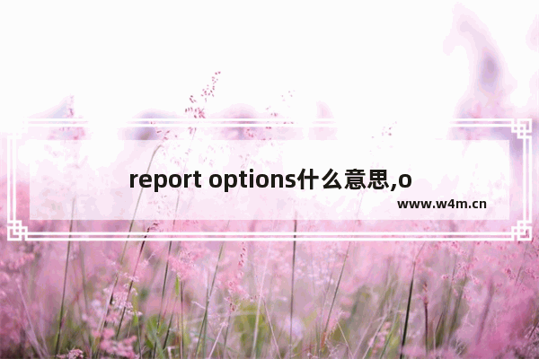 report options什么意思,options是什么意思翻译成中文