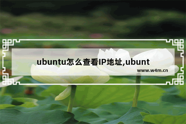 ubuntu怎么查看IP地址,ubuntu系统怎么查看ip地址