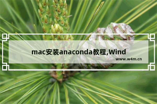 mac安装anaconda教程,Windows10安装anaconda3教程