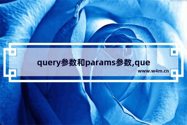 query参数和params参数,query_params