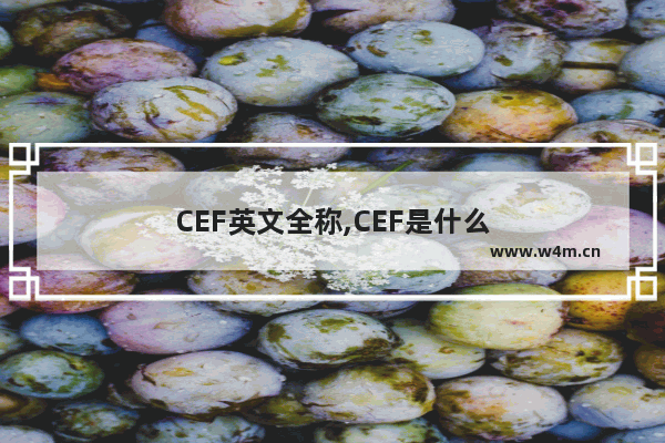 CEF英文全称,CEF是什么