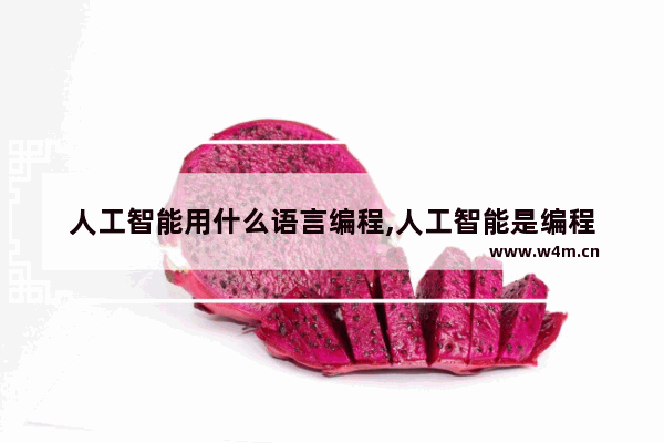 人工智能用什么语言编程,人工智能是编程