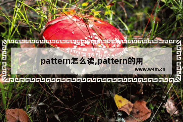 pattern怎么读,pattern的用法和知识点