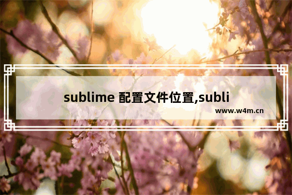 sublime 配置文件位置,sublime 配置文件