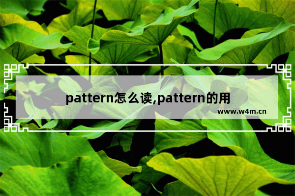 pattern怎么读,pattern的用法和知识点