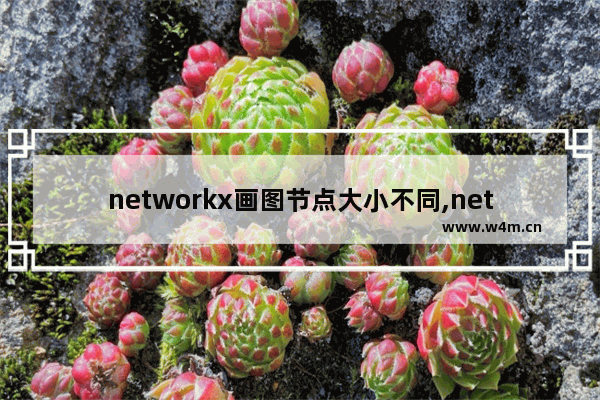 networkx画图节点大小不同,network使用方法