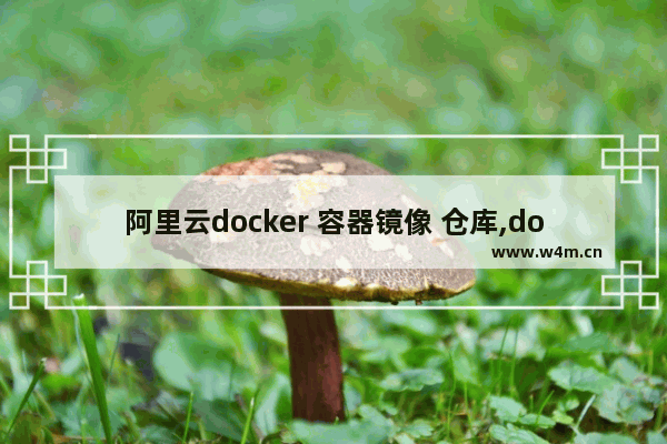 阿里云docker 容器镜像 仓库,docker自建镜像仓库