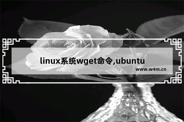 linux系统wget命令,ubuntu安装wget命令