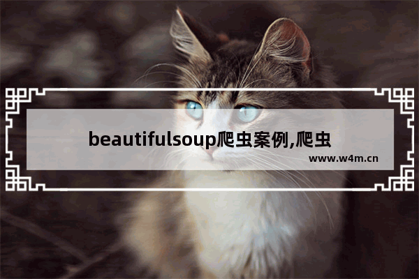 beautifulsoup爬虫案例,爬虫beautiful soup框架