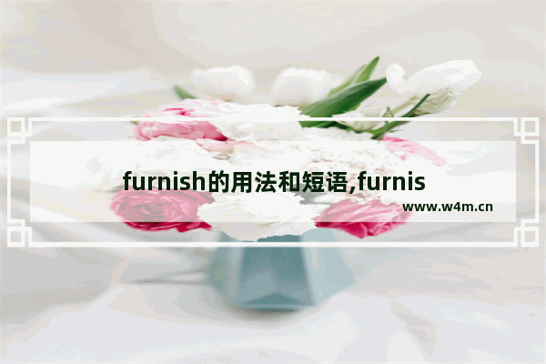 furnish的用法和短语,furnish用法搭配