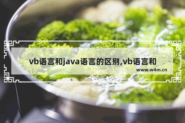 vb语言和java语言的区别,vb语言和c语言哪个简单些,vb语言和java语言的区别,vb语言和c语言哪个简单一些