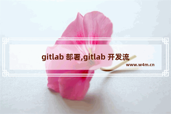 gitlab 部署,gitlab 开发流程