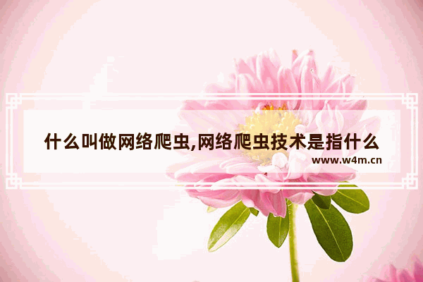 什么叫做网络爬虫,网络爬虫技术是指什么