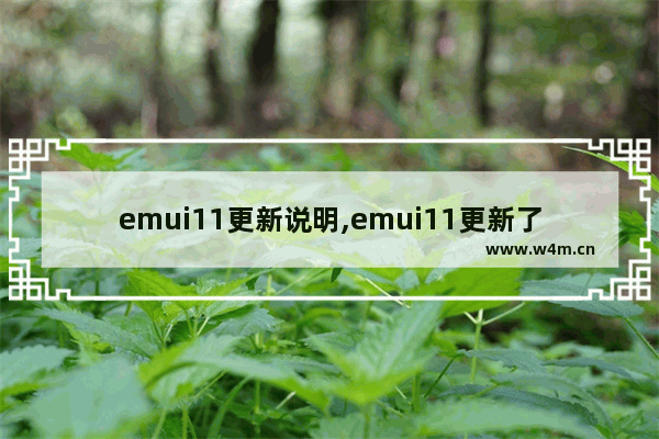 emui11更新说明,emui11更新了哪些东西