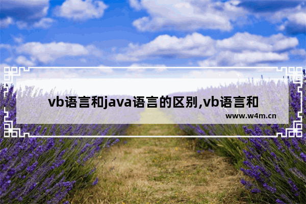 vb语言和java语言的区别,vb语言和c语言哪个简单些,vb语言和java语言的区别,vb语言和c语言哪个简单一些