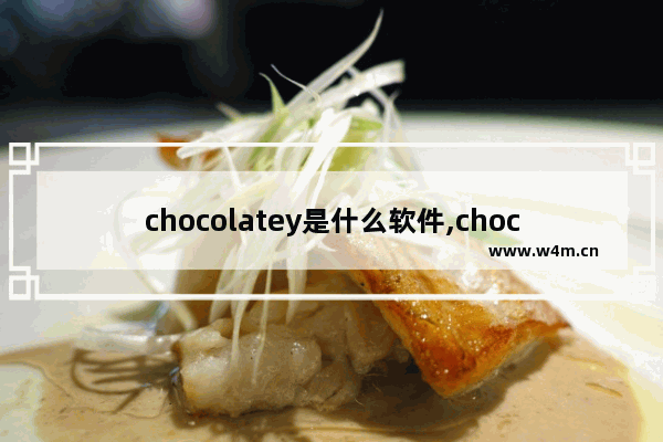 chocolatey是什么软件,chocolate用法