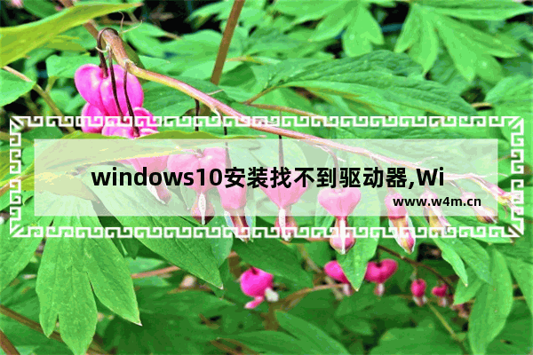 windows10安装找不到驱动器,Windows11安装缺少驱动程序