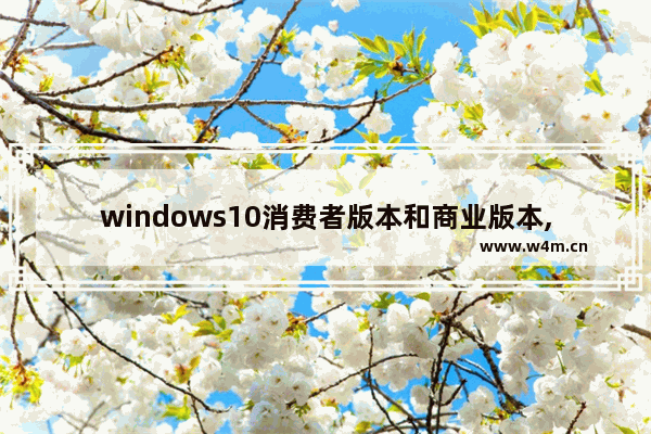 windows10消费者版本和商业版本,win10下商业版还是消费者版